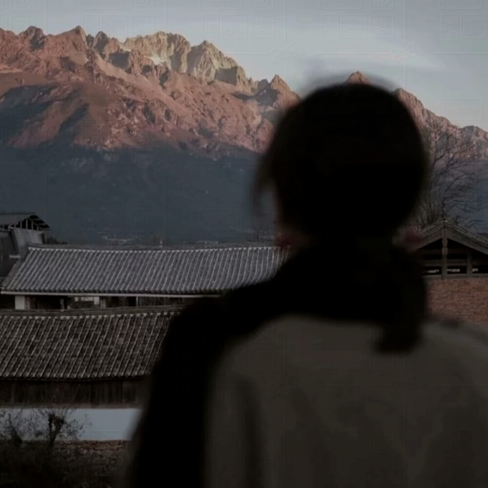 世界上有五种场 煤场 磁场 雨场 还有本少爷闪亮登场