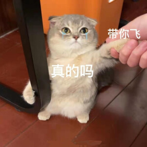 带我
求带表情包