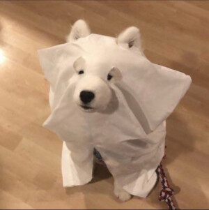 小狗