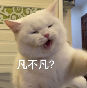 表情包
猫