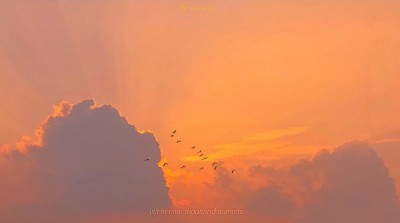 月亮指路牌_侵权删