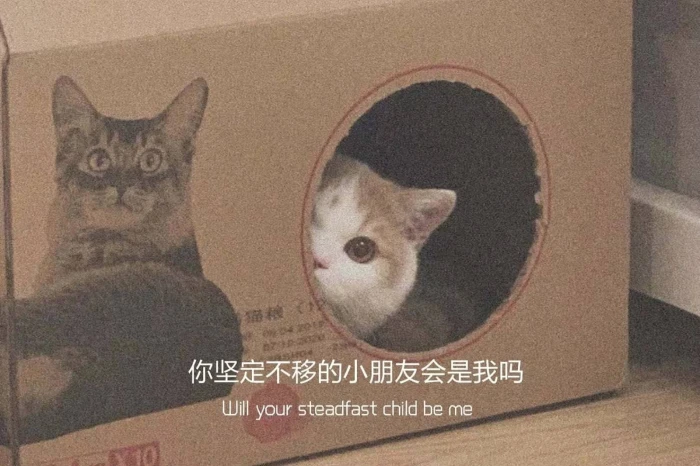 月亮指路牌_侵权删