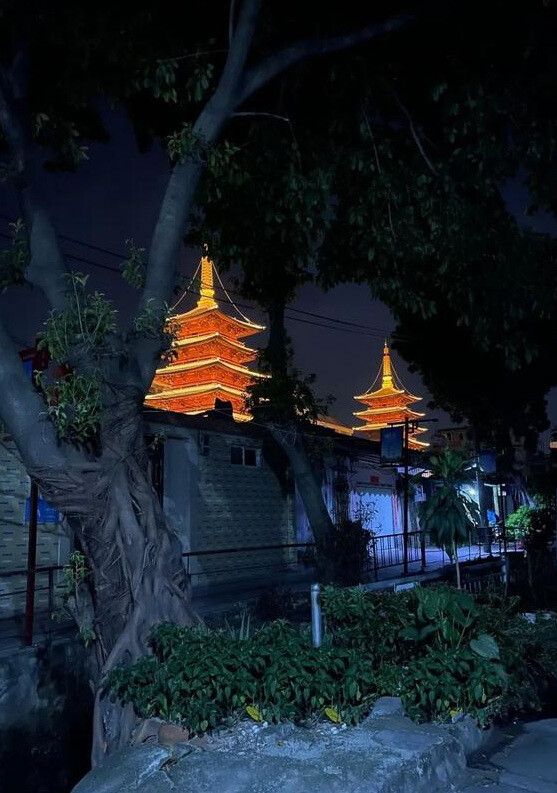 粤 揭阳双峰寺 琉璃宝塔