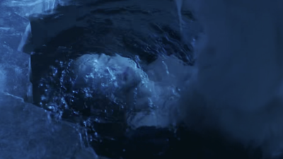 皇室美女与野兽