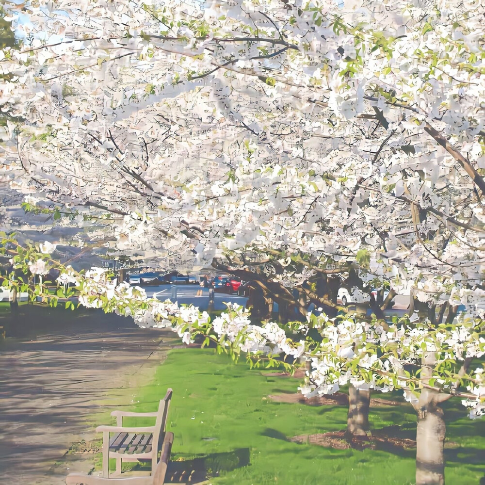 日系樱花背景图