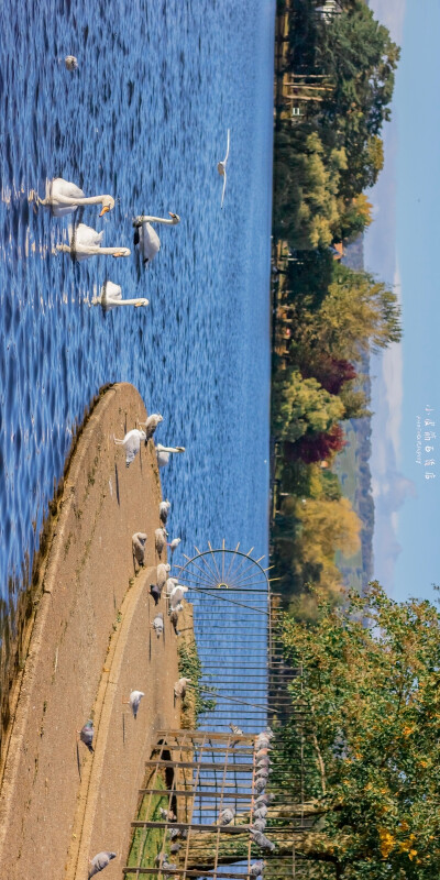 “我从没觉得孤独 说的浪漫些 我完全自由”
Roath Park, Cardiff
by.@小皮筋百货店