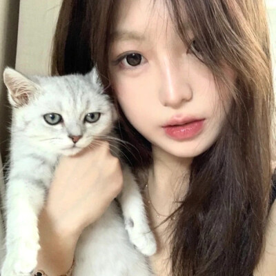 抱猫女头