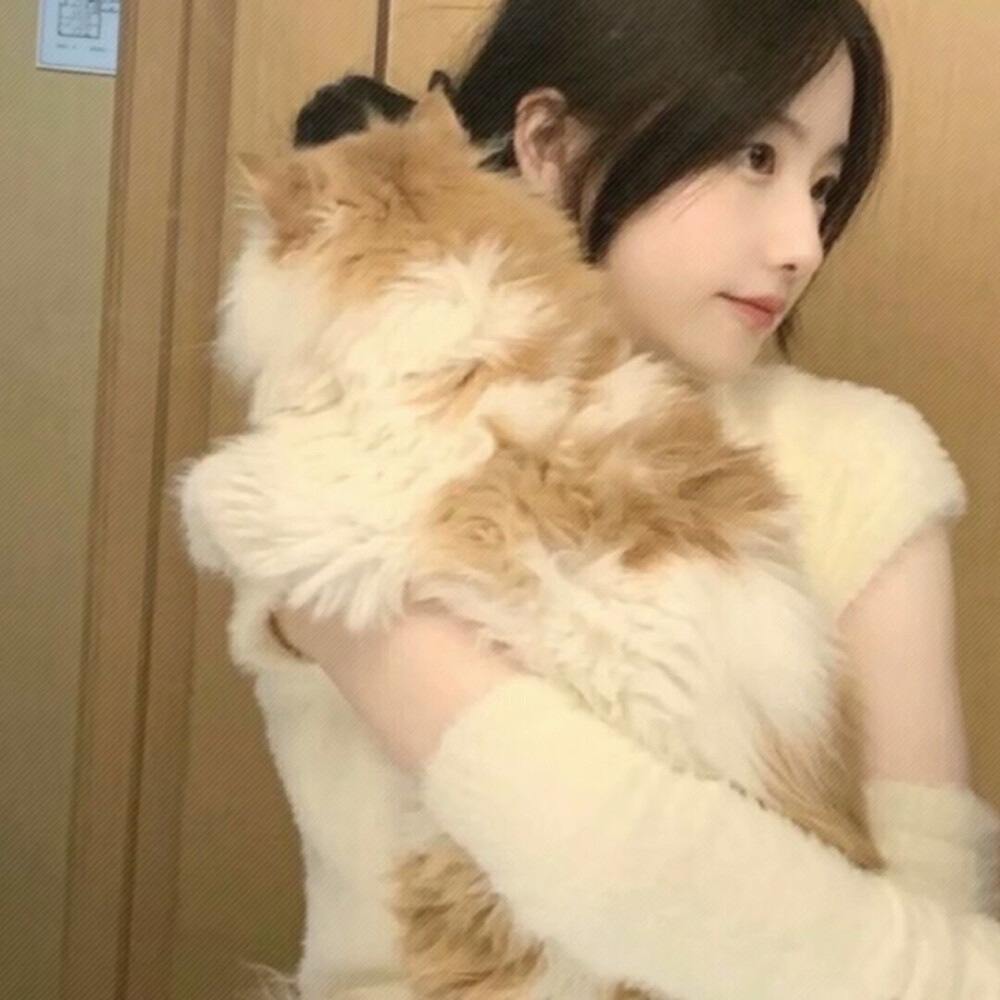 抱猫女头