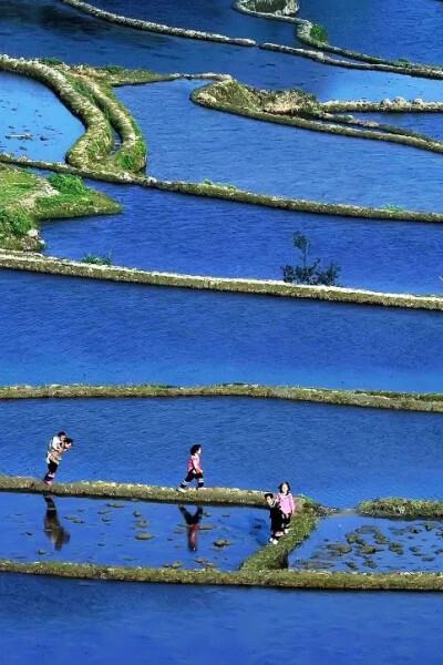 元阳梯田