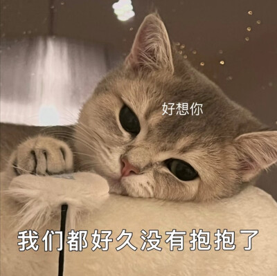 小小的表情包