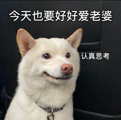 小小的表情包