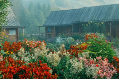 门前花海