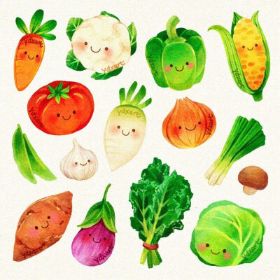 美食插画
ins:ydxart