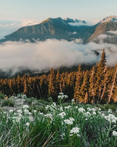 旅行摄影师Mio Monasch是THE PLUS PAPER的老朋友了，这位双鱼座的摄影师对水情有独钟，他的镜头记录了水的各种形态，从浩瀚的大海，到如镜面般光滑的湖泊，再到晶莹美丽的冰川，水的温柔和力量都包含在其中。
在一…