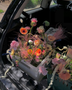 “我买得起花，可是还是希望有人能送我花，我可以一个人生活，可我还是希望有人能爱我。” ​​​