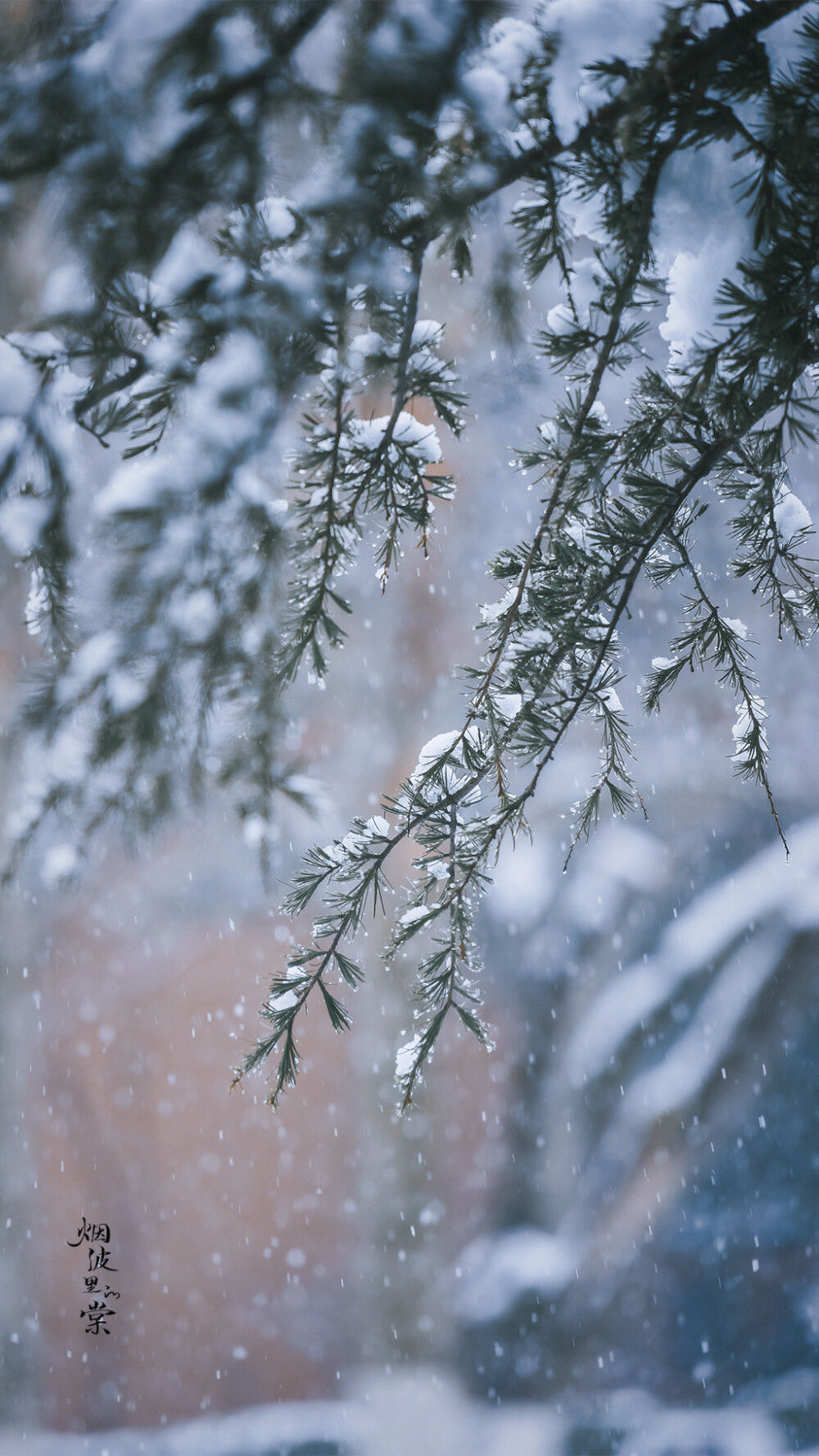 【高座寺】西晋古刹，落雪如花