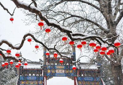 好雪 颐和园