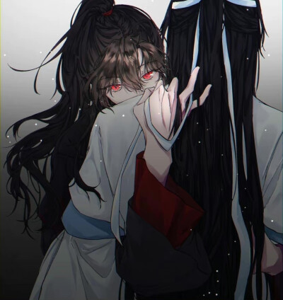 魔道祖师 忘羡