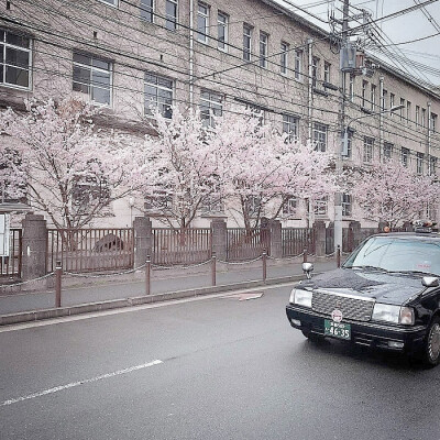  情人节快乐 我的小王子