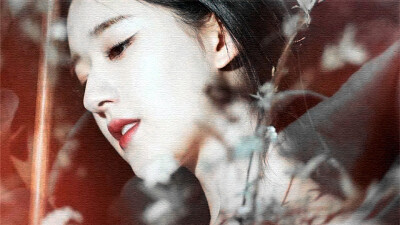 赵露思 二传标明霁夜