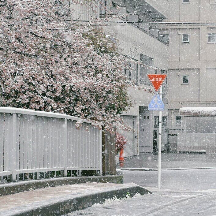 “下雪天”