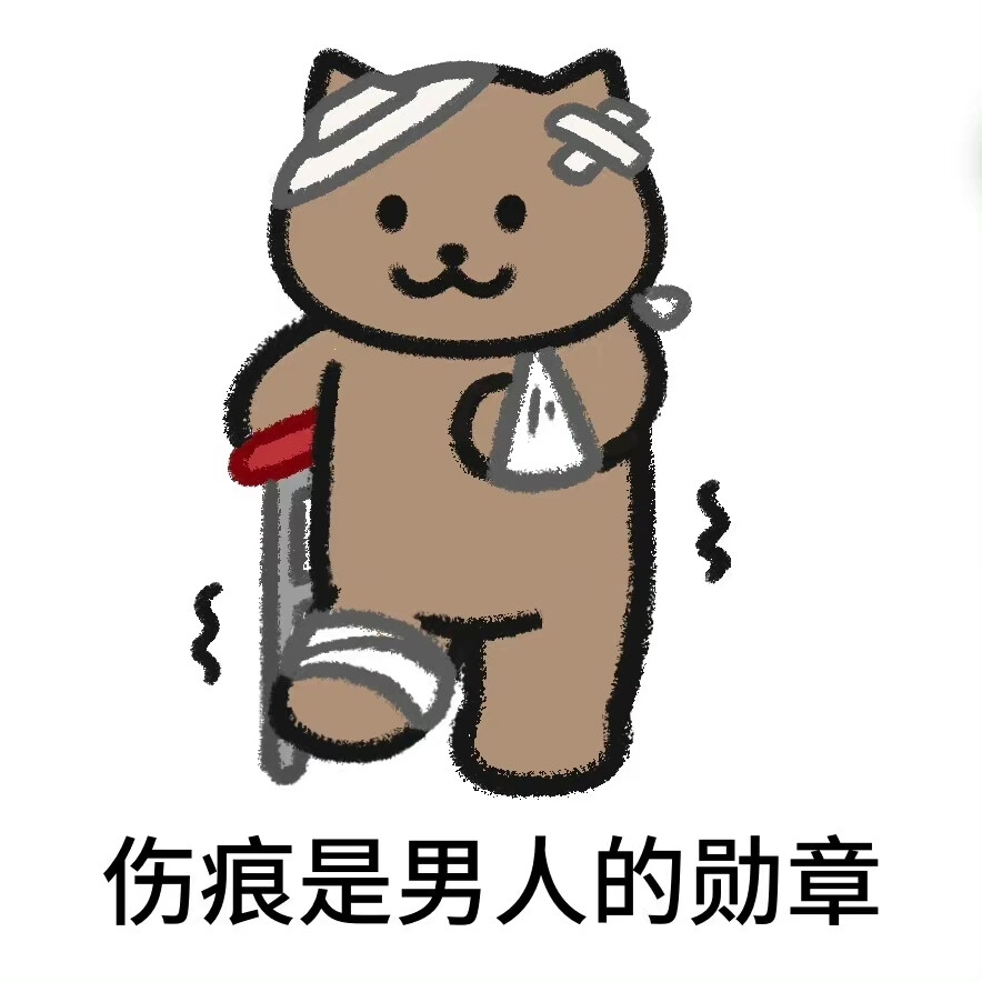 表情包 一猫人
cr：大熊猫本猫