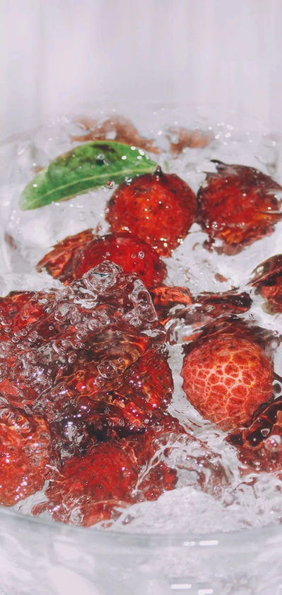 站在你所热爱的世界里闪闪发光