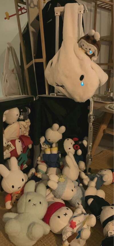 站在你所热爱的世界里闪闪发光