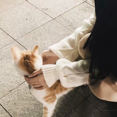 二传注明