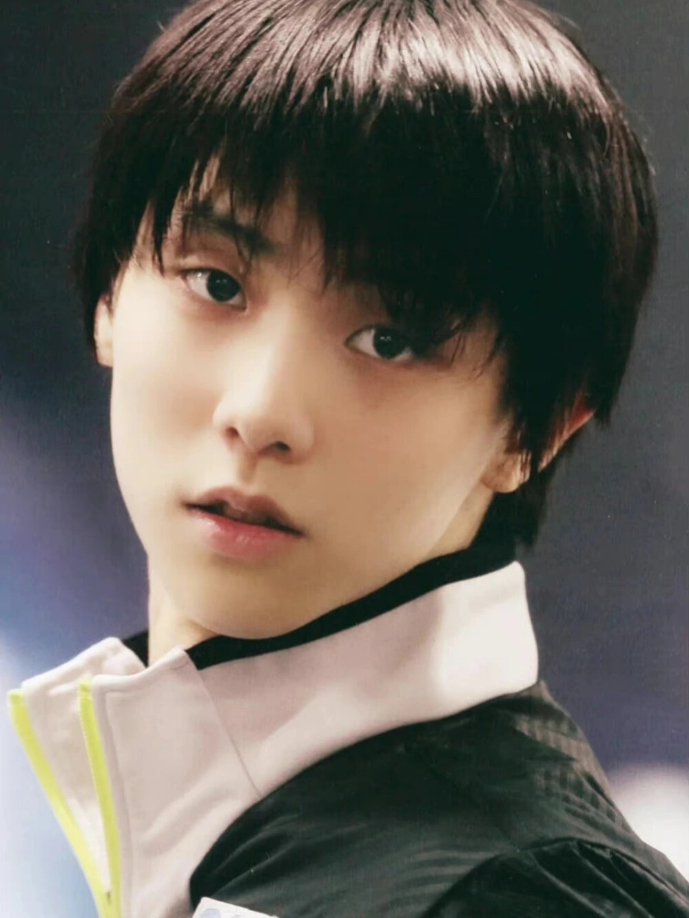 yuzuru