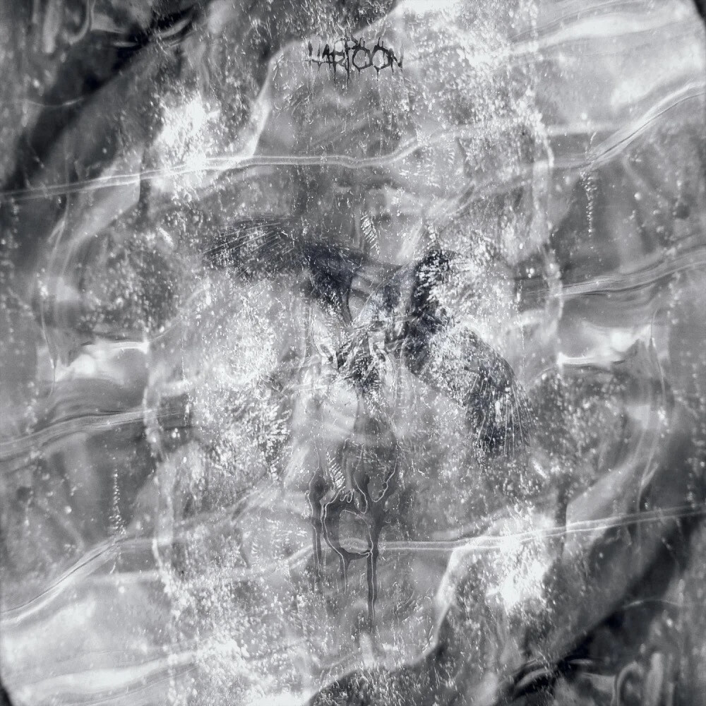 
後來故事沒了後續