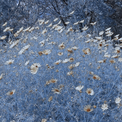 努力等一个春天吧。