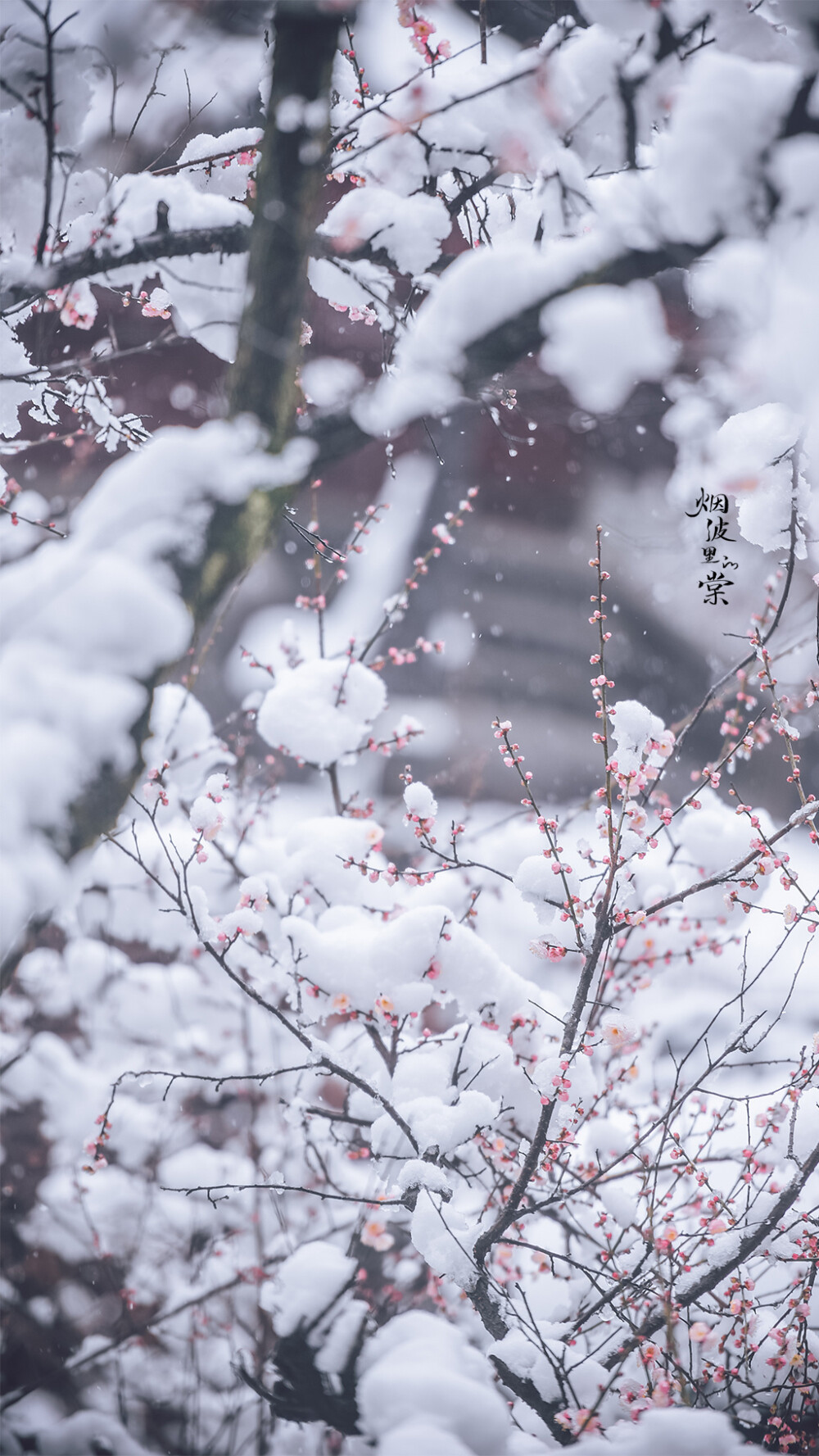 雪