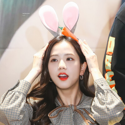 jisoo
标onemorecarrot