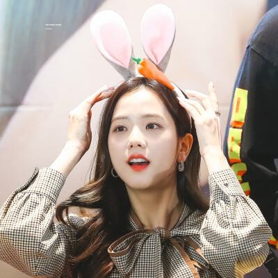 jisoo
标onemorecarrot