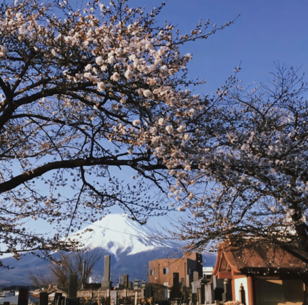 富士山