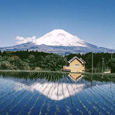 富士山