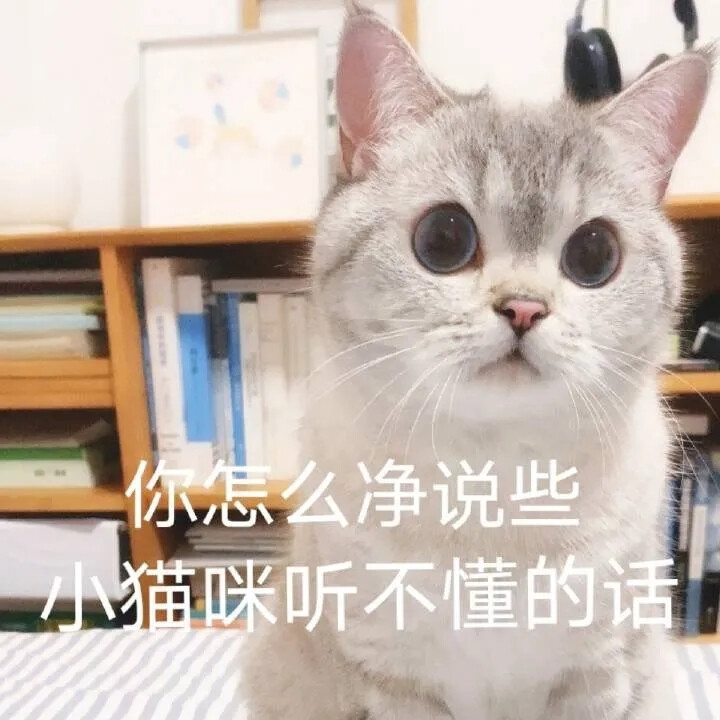 表情包