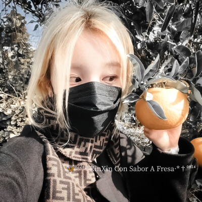 
：寒梅暗香动，小雪凋冬菊。