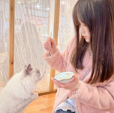 二传注明仇乔