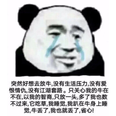 好久不更新了