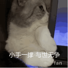 猫狗