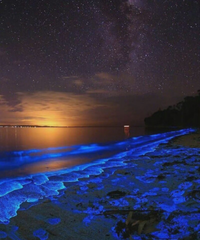 蓝色海 林北星和张万森