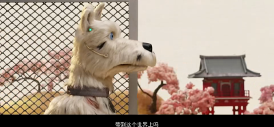 犬之岛 这也太好哭了，可能年纪大了看不得这种(T＿T)