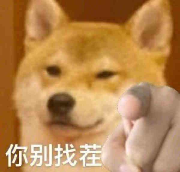 狗狗表情包