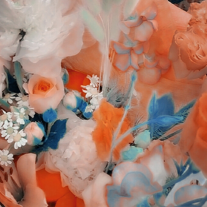 歡 迎 來 到 玫 瑰 花 園丨
朴彩英/9P/小酒心