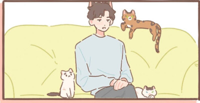 游戏 遇见你的猫