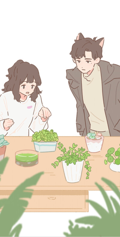 游戏 遇见你的猫