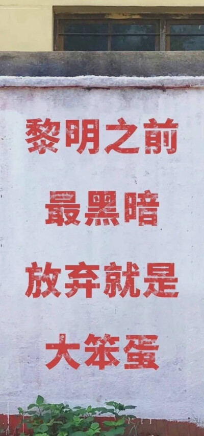 壁纸