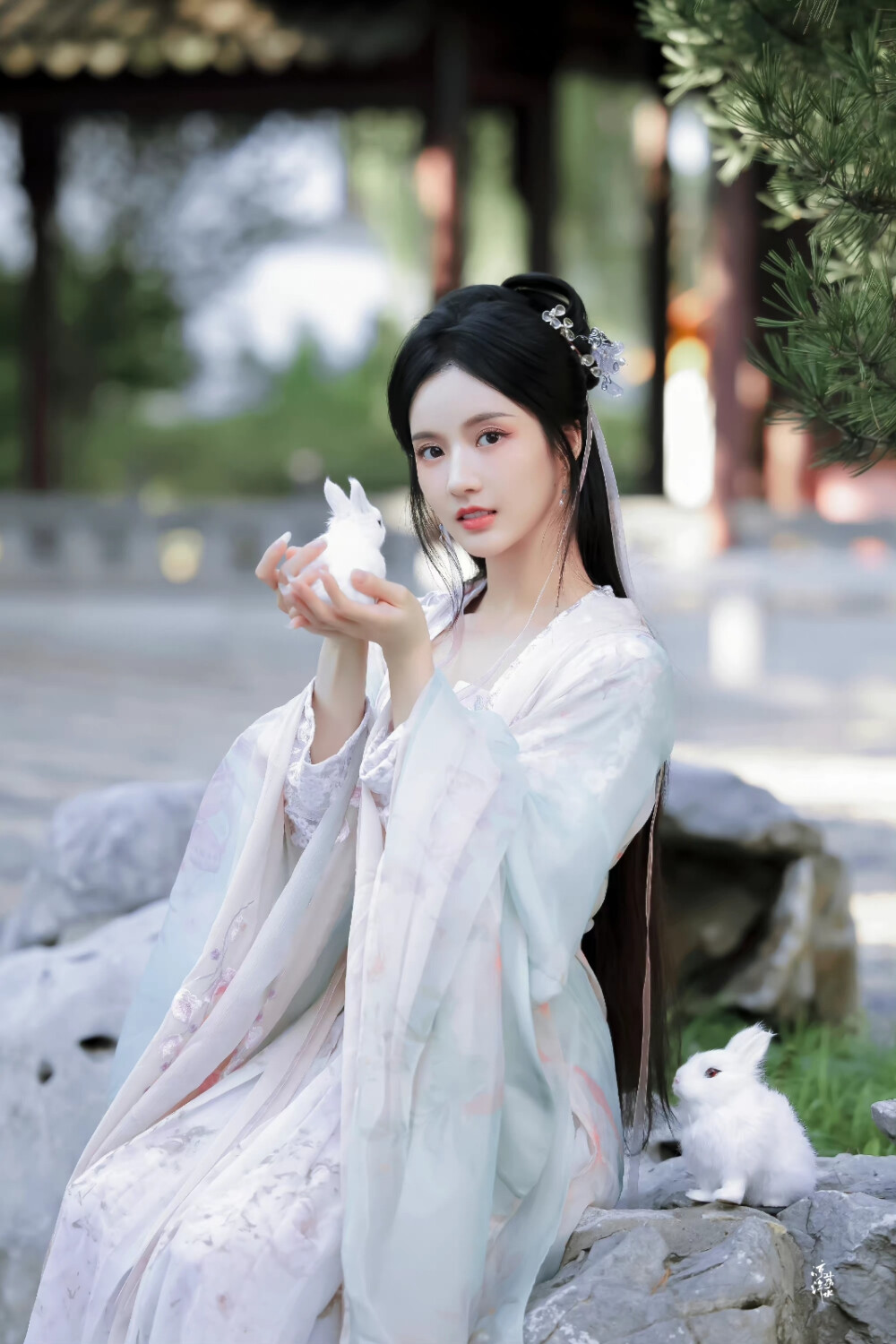 刘些宁 cr@凉荔汽水